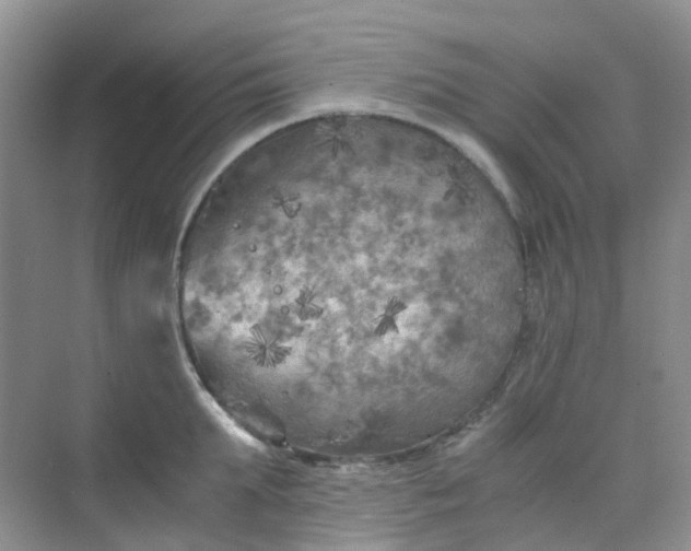 X0000075920903200609291821