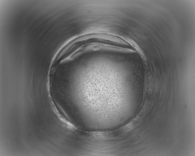 X0000075920904200609291821