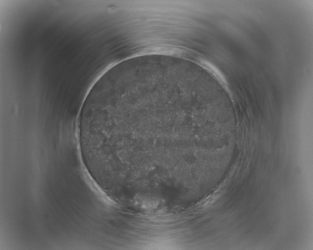 X0000075920907200609291821