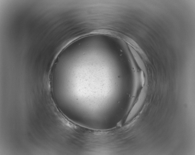 X0000075920908200609291821