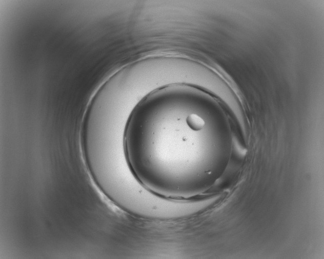 X0000075920909200609291821