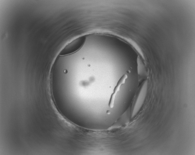 X0000075920911200609291821