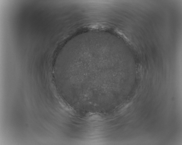 X0000075920913200609291820