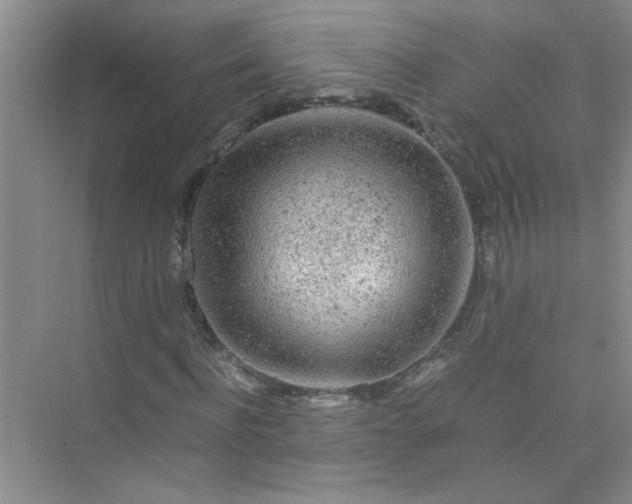 X0000075920916200609291820