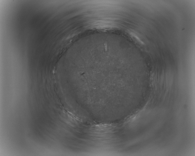 X0000075920917200609291820