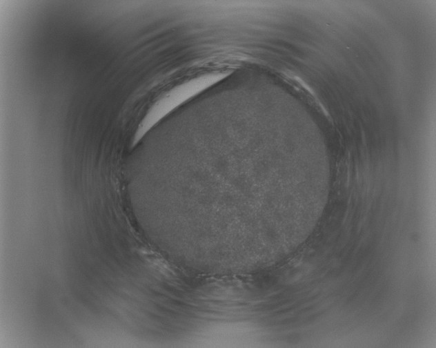 X0000075920919200609291820