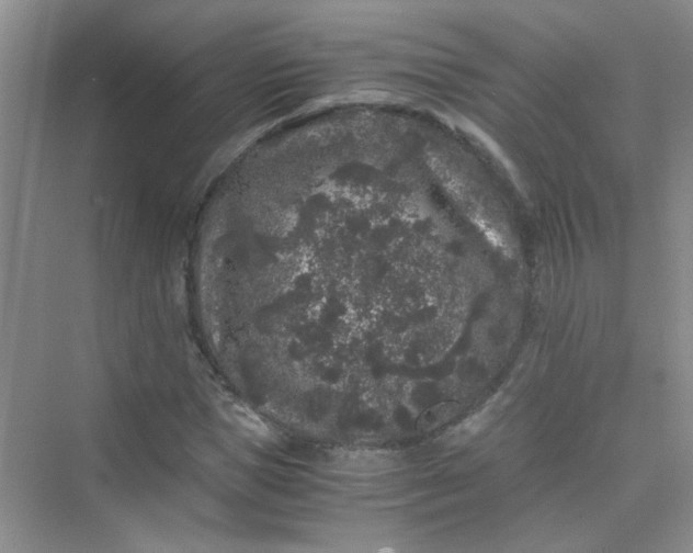 X0000075920921200609291820