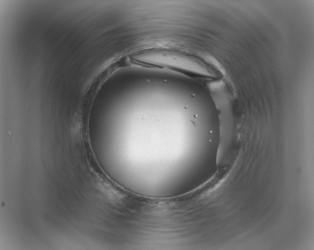 X0000075920922200609291820