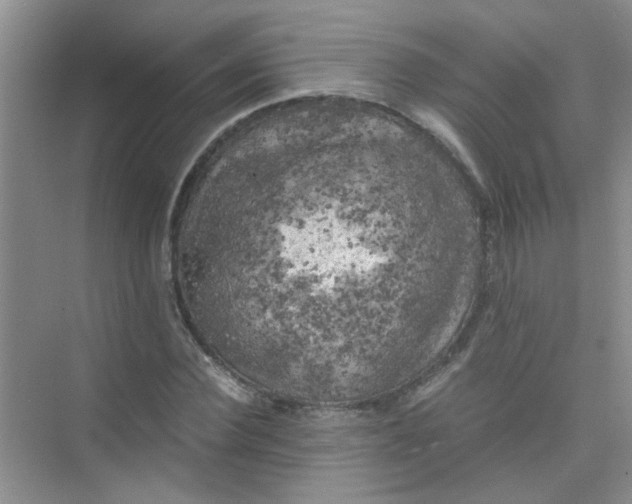 X0000075920924200609291820