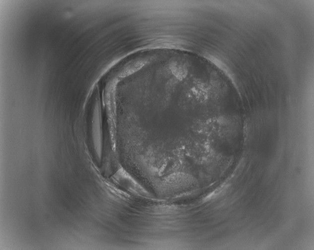 X0000075920925200609291820