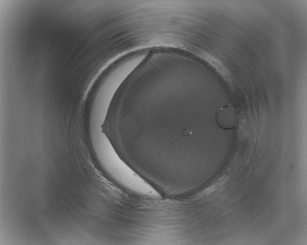 X0000075920926200609291820