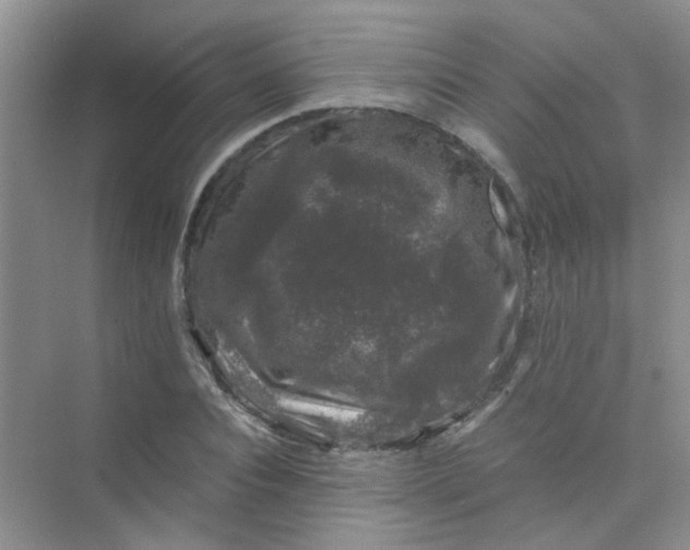 X0000075920928200609291820