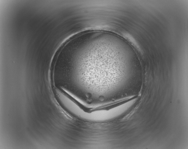 X0000075920932200609291820