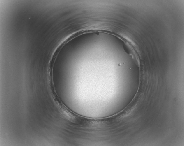 X0000075920933200609291821