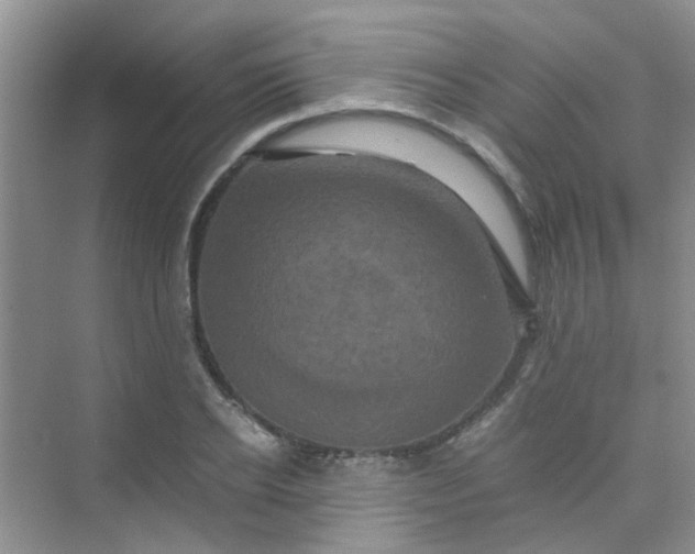 X0000075920934200609291821