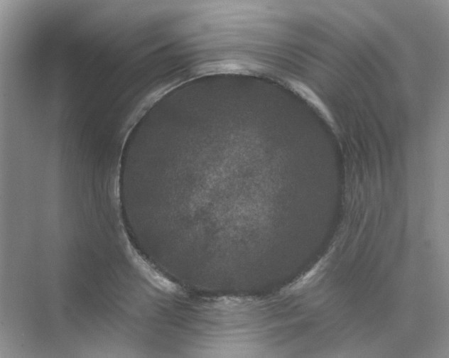 X0000075920938200609291821