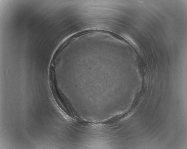 X0000075920940200609291821