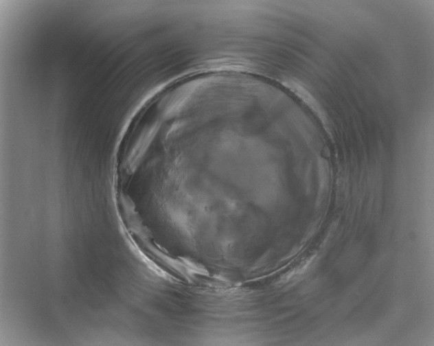 X0000075920941200609291821