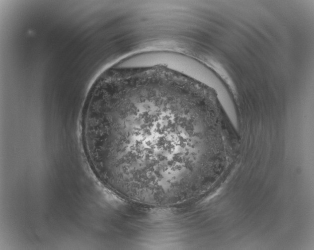 X0000075920944200609291821