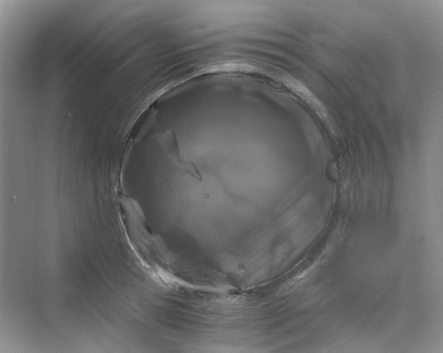 X0000075920945200609291821