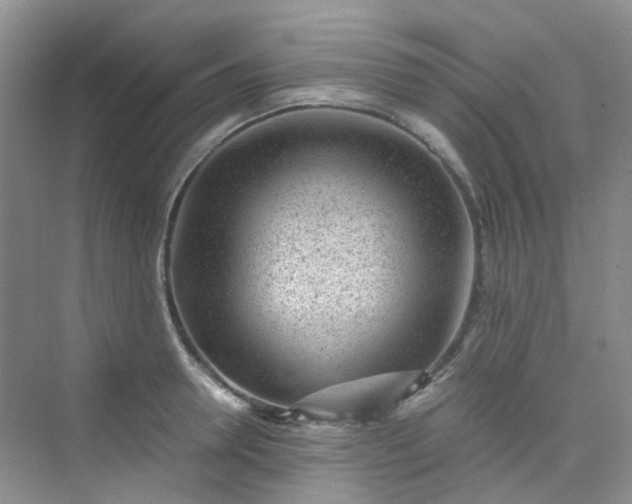 X0000075920946200609291821