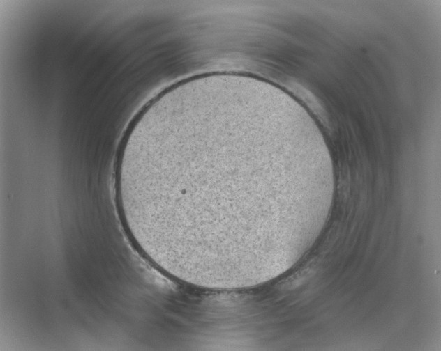 X0000075920950200609291821