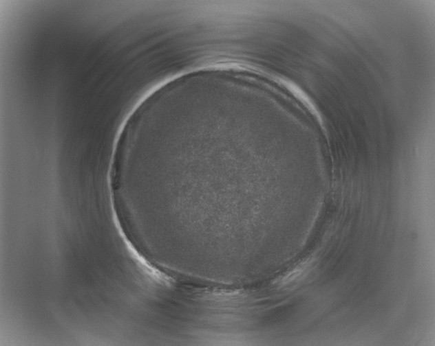 X0000075920951200609291821