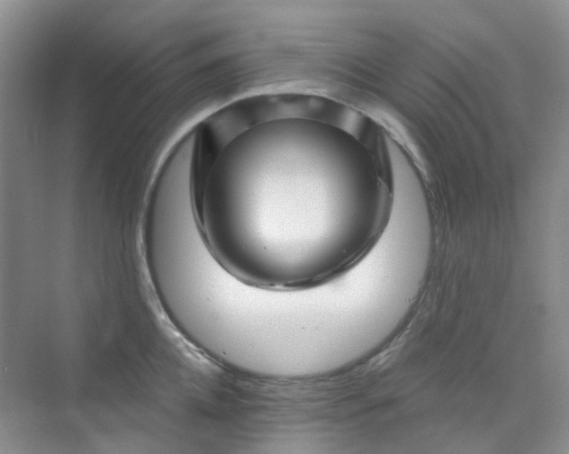 X0000075920952200609291821