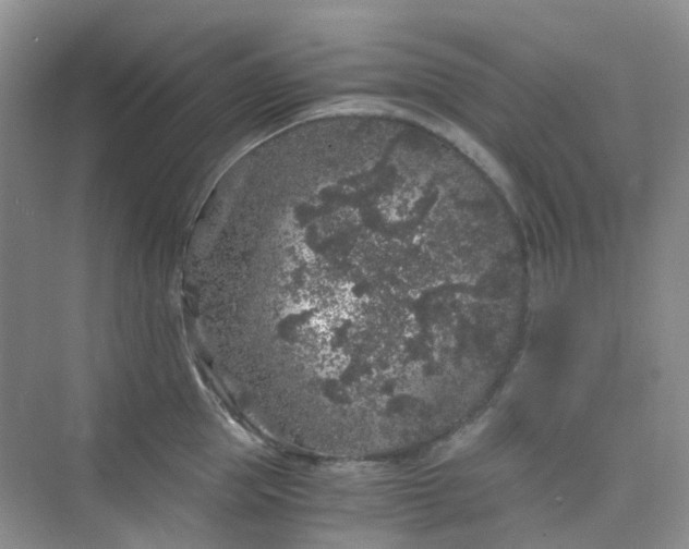 X0000075920953200609291821