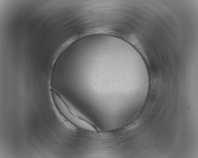 X0000075920954200609291821