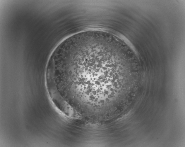 X0000075920955200609291821