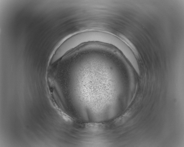 X0000075920956200609291821