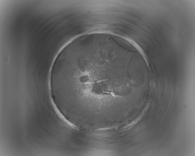 X0000075920957200609291821