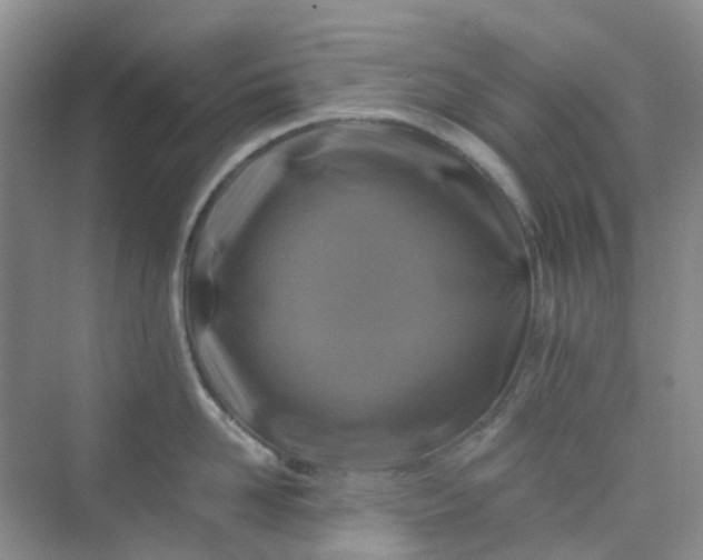 X0000075920958200609291821