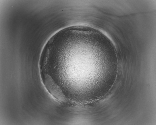 X0000075920959200609291821