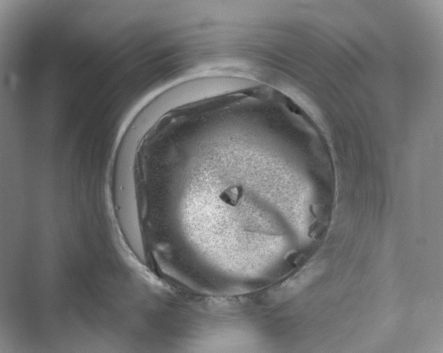 X0000075920960200609291821