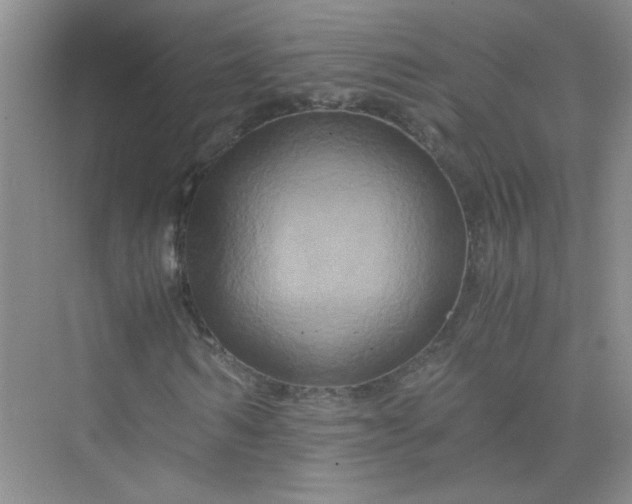 X0000075920962200609291820