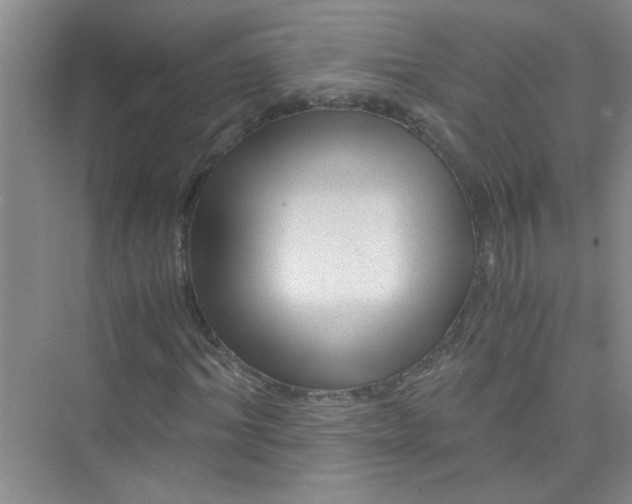 X0000075920964200609291820