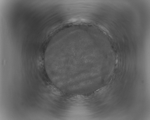 X0000075920966200609291820