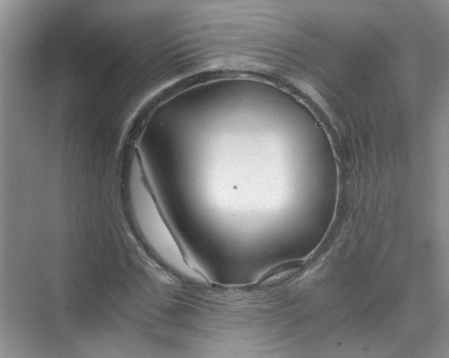 X0000075920971200609291820