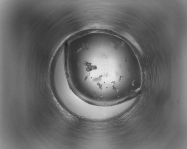 X0000075920972200609291820