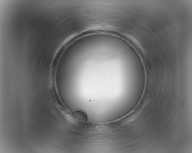 X0000075920974200609291820