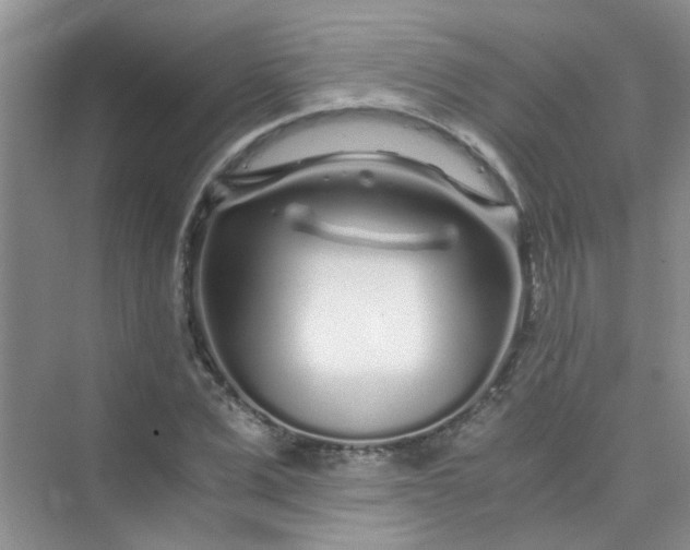 X0000075920975200609291820