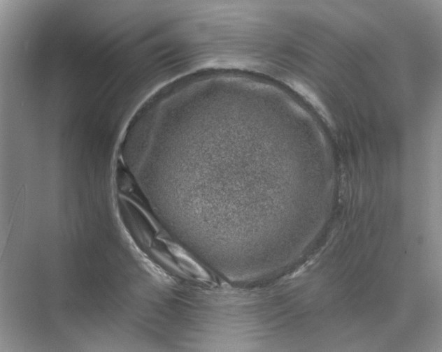 X0000075920976200609291820