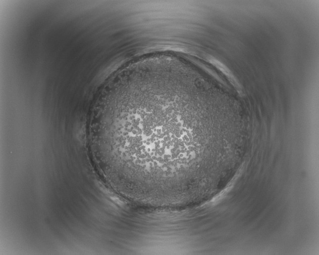 X0000075920977200609291820