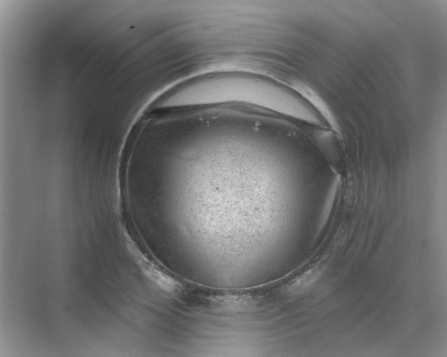 X0000075920980200609291820