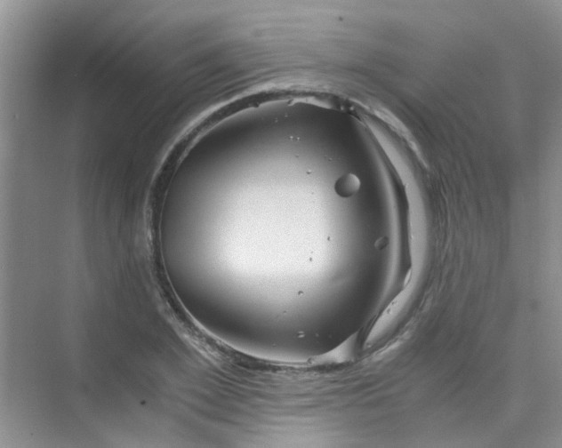 X0000075920981200609291820