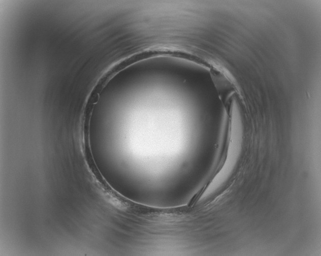 X0000075920984200609291820