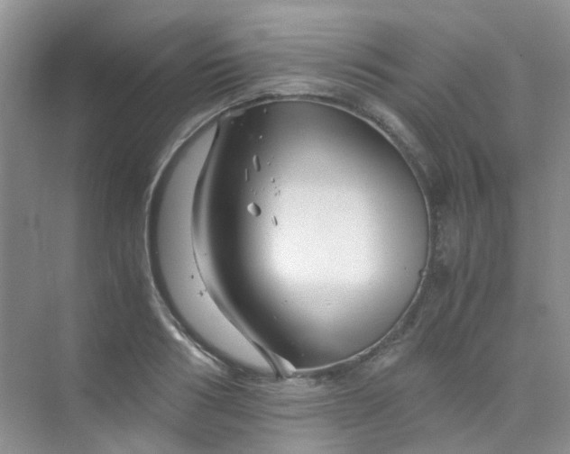 X0000075920986200609291820