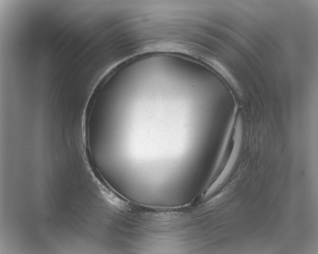 X0000075920988200609291820